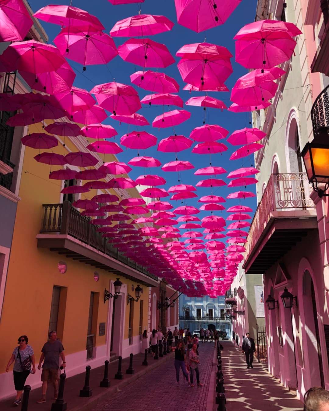 Many bright pink umbrellas over a pedestran street